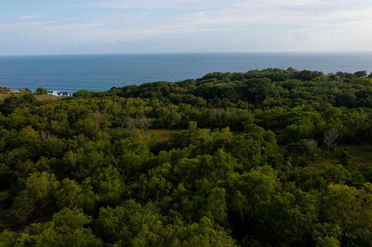 Moritz Palm Villa Ungasan Exteriör bild